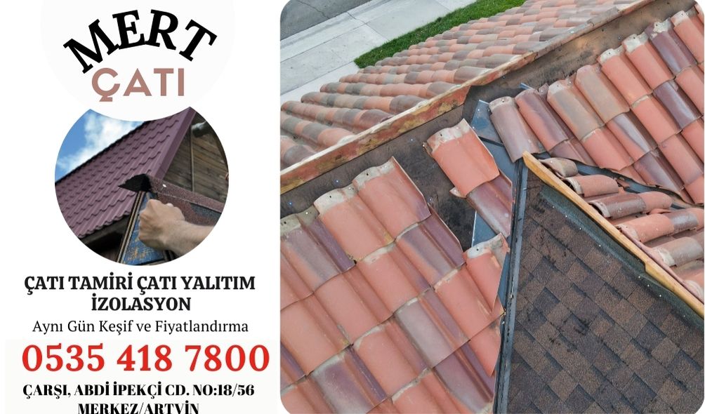artvin-catı2